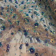 Pizzo Alta Moda con Paillettes Diffusione Tessuti Pizzo Alta Moda con Paillettes