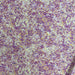 Rasetto Primavera Fiorente Toni Lilla Made in Italy Diffusione Tessuti Rasetto Primavera Fiorente Toni Lilla Made