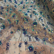 Pizzo Alta Moda con Paillettes - Diffusione Tessuti